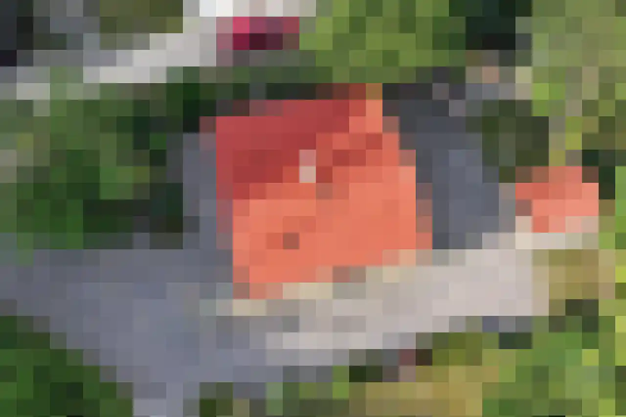 Ogentroost 12 Julianadorp thumbnail 28