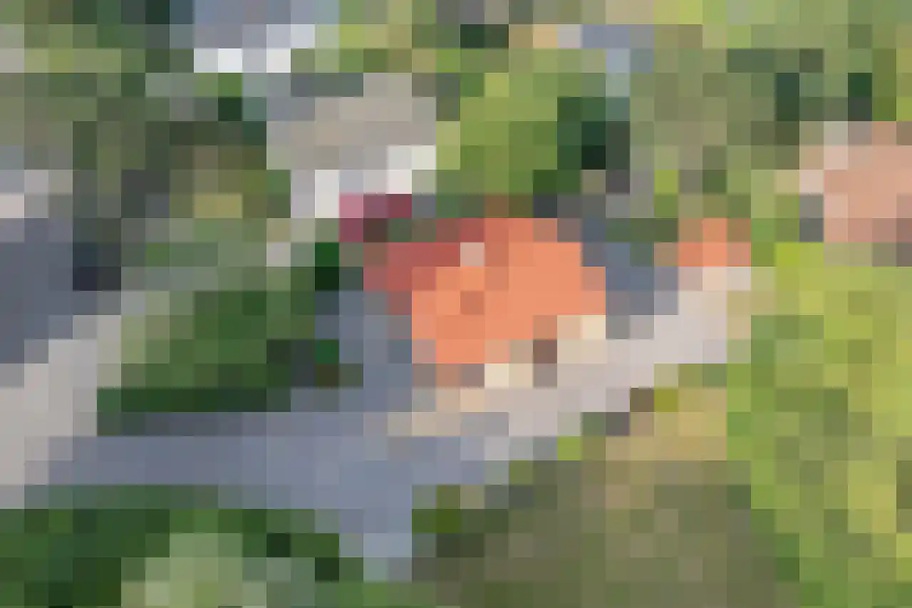 Ogentroost 12 Julianadorp thumbnail 29