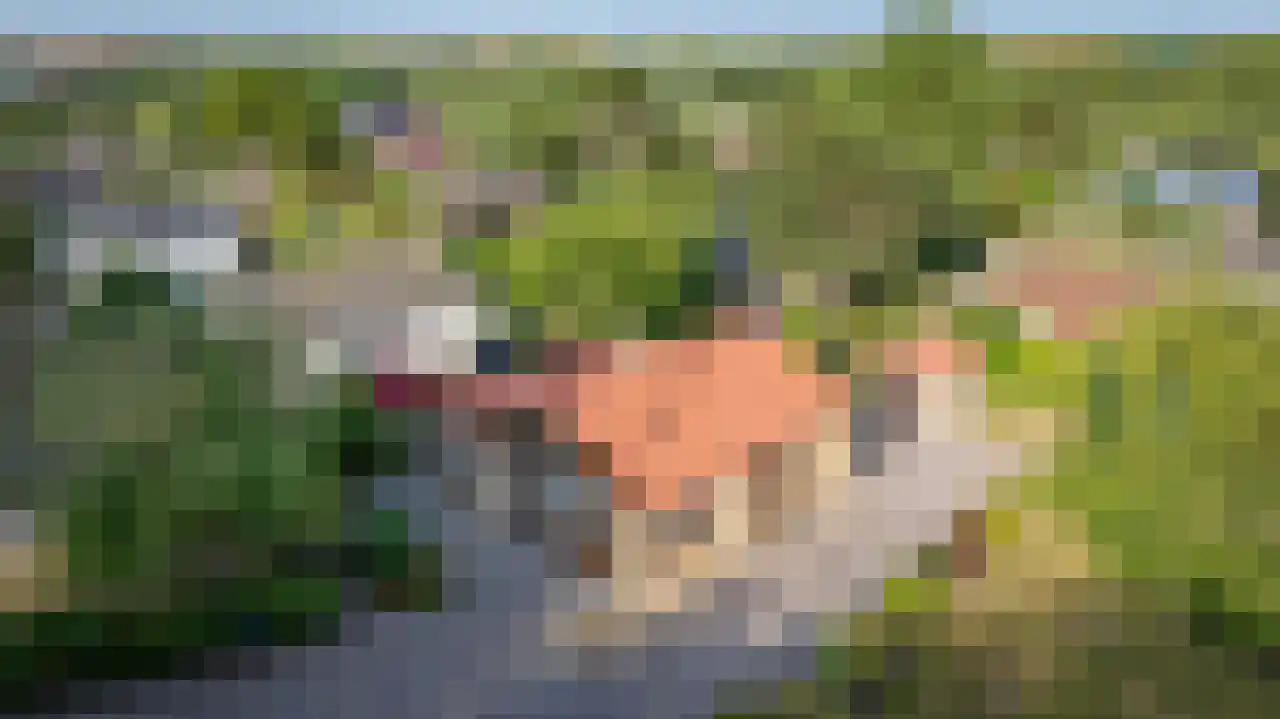 Ogentroost 12 Julianadorp thumbnail 31
