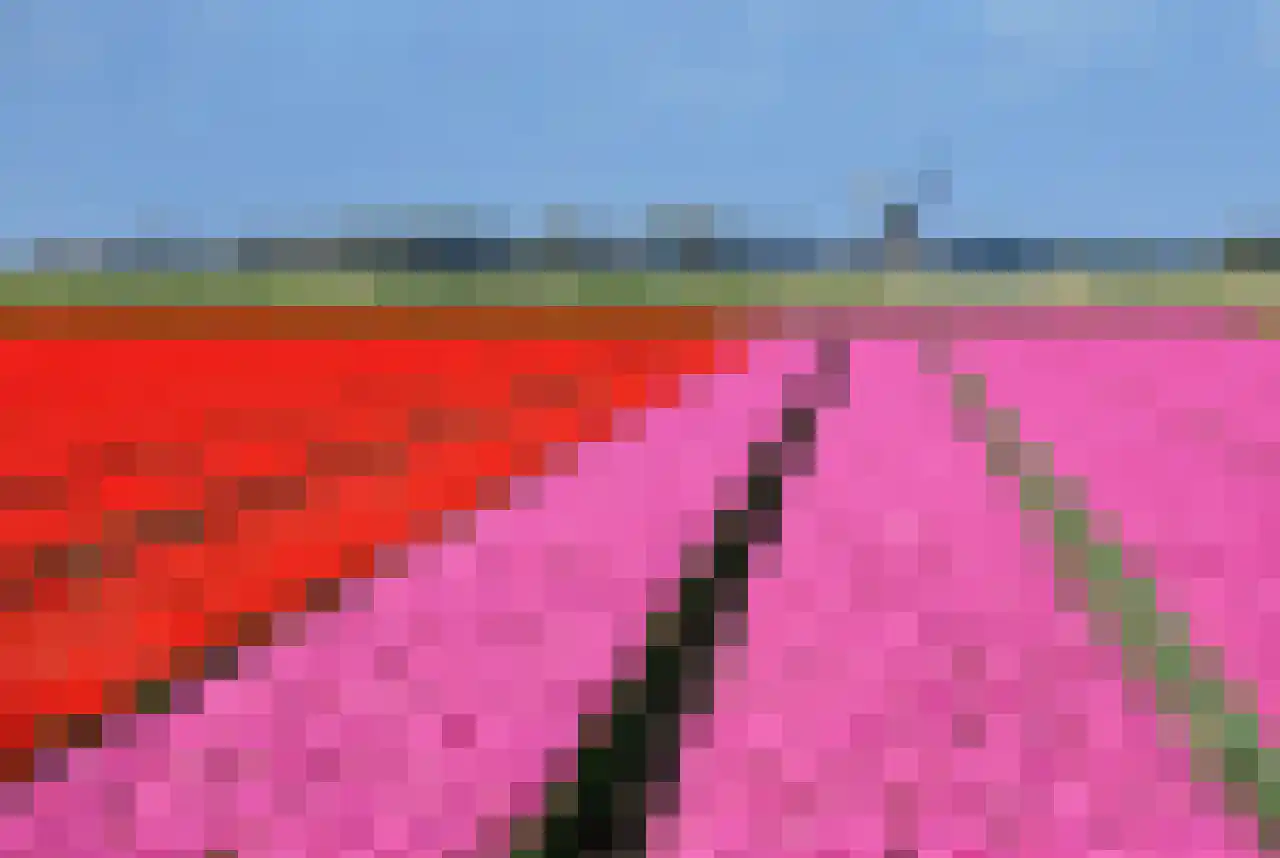 Ogentroost 12 Julianadorp thumbnail 36