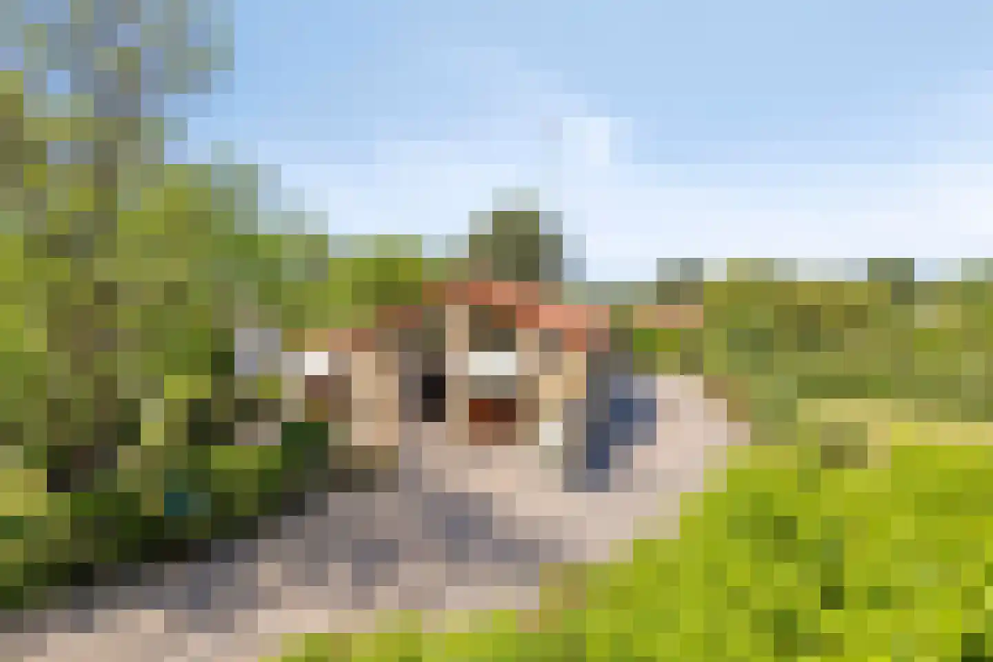 Ogentroost 12 Julianadorp thumbnail 4