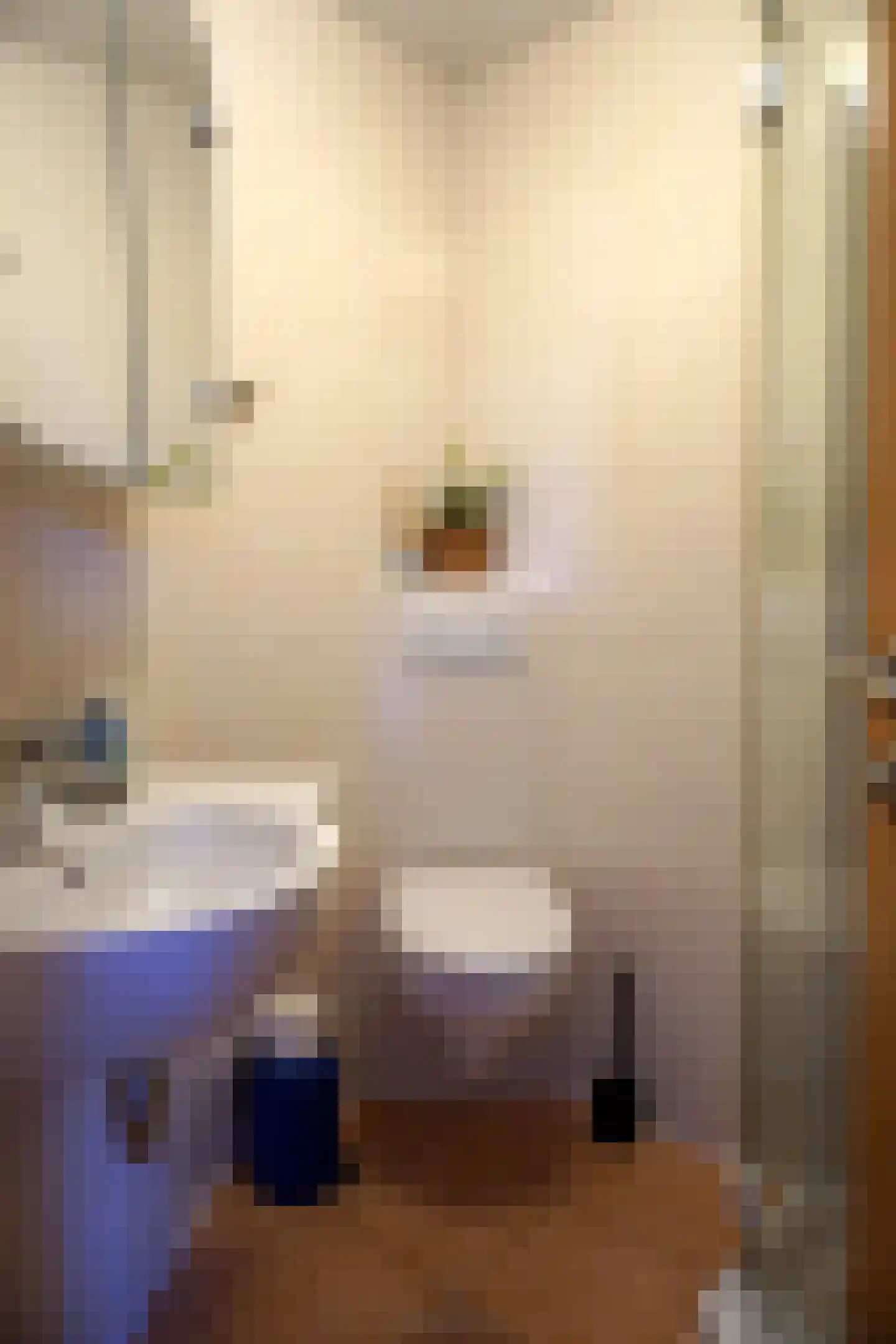 Ogentroost 21 Julianadorp thumbnail 18