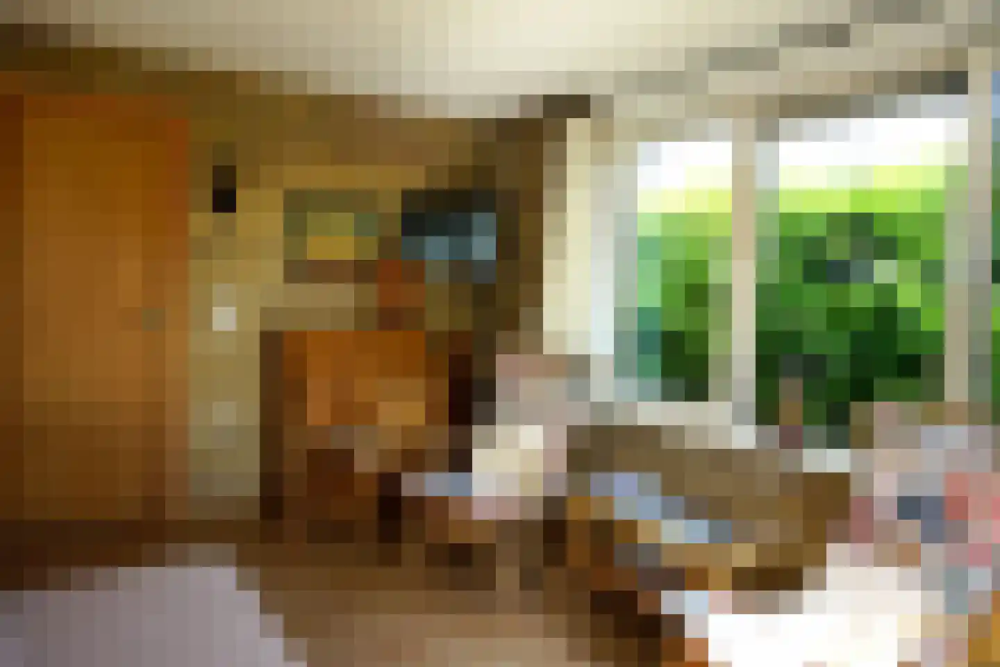 Ogentroost 21 Julianadorp thumbnail 8