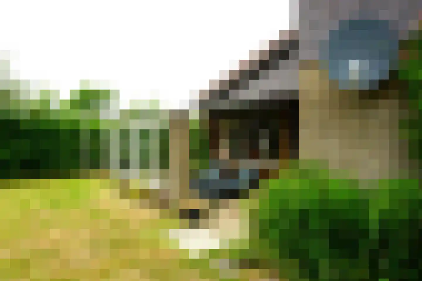 Ogentroost 36 Julianadorp thumbnail 18