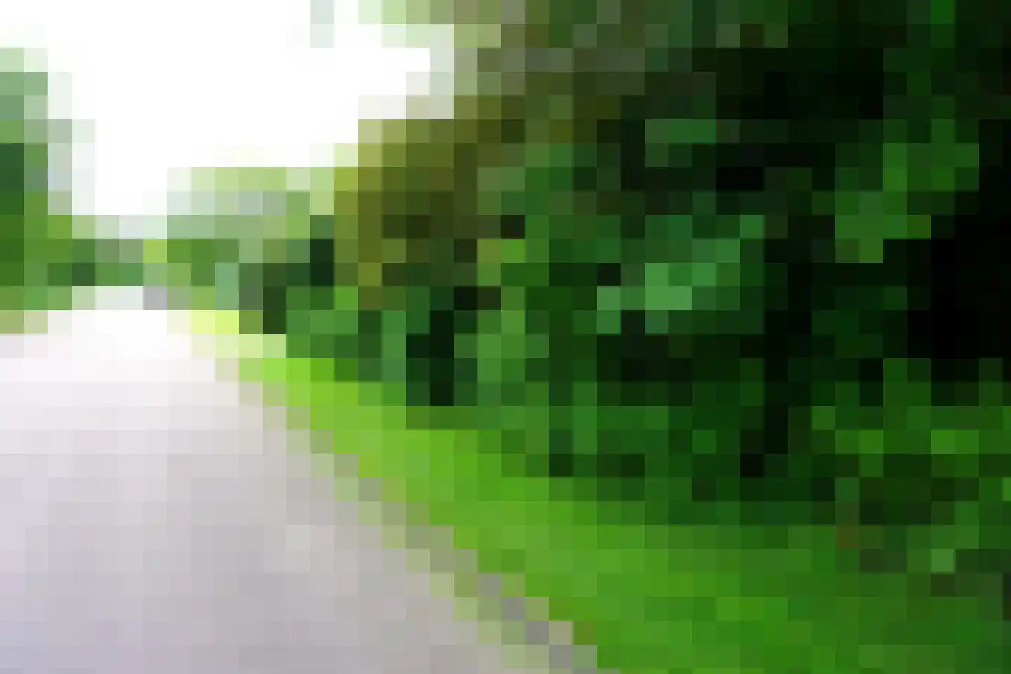 Ogentroost 36 Julianadorp thumbnail 20
