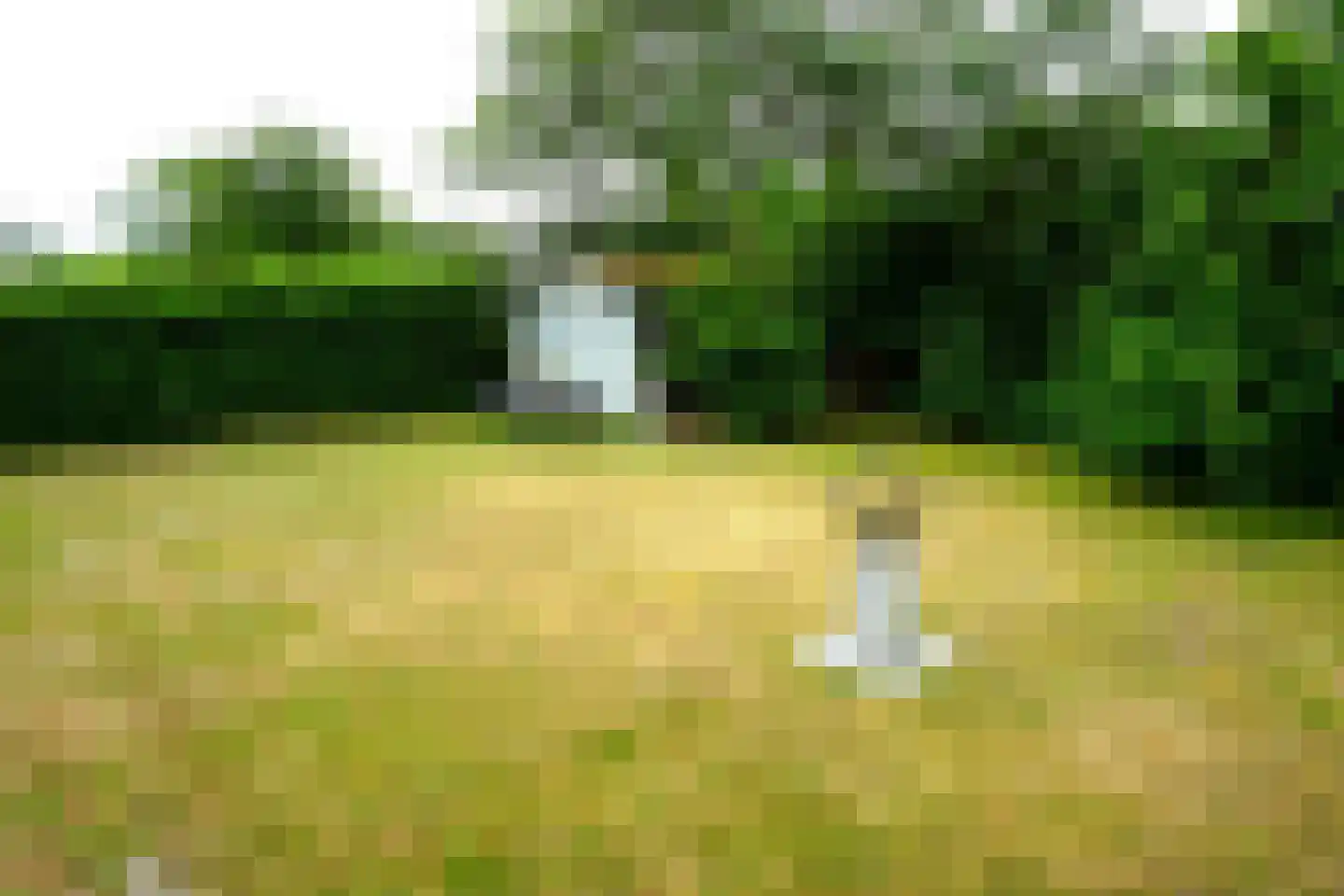 Ogentroost 36 Julianadorp thumbnail 24