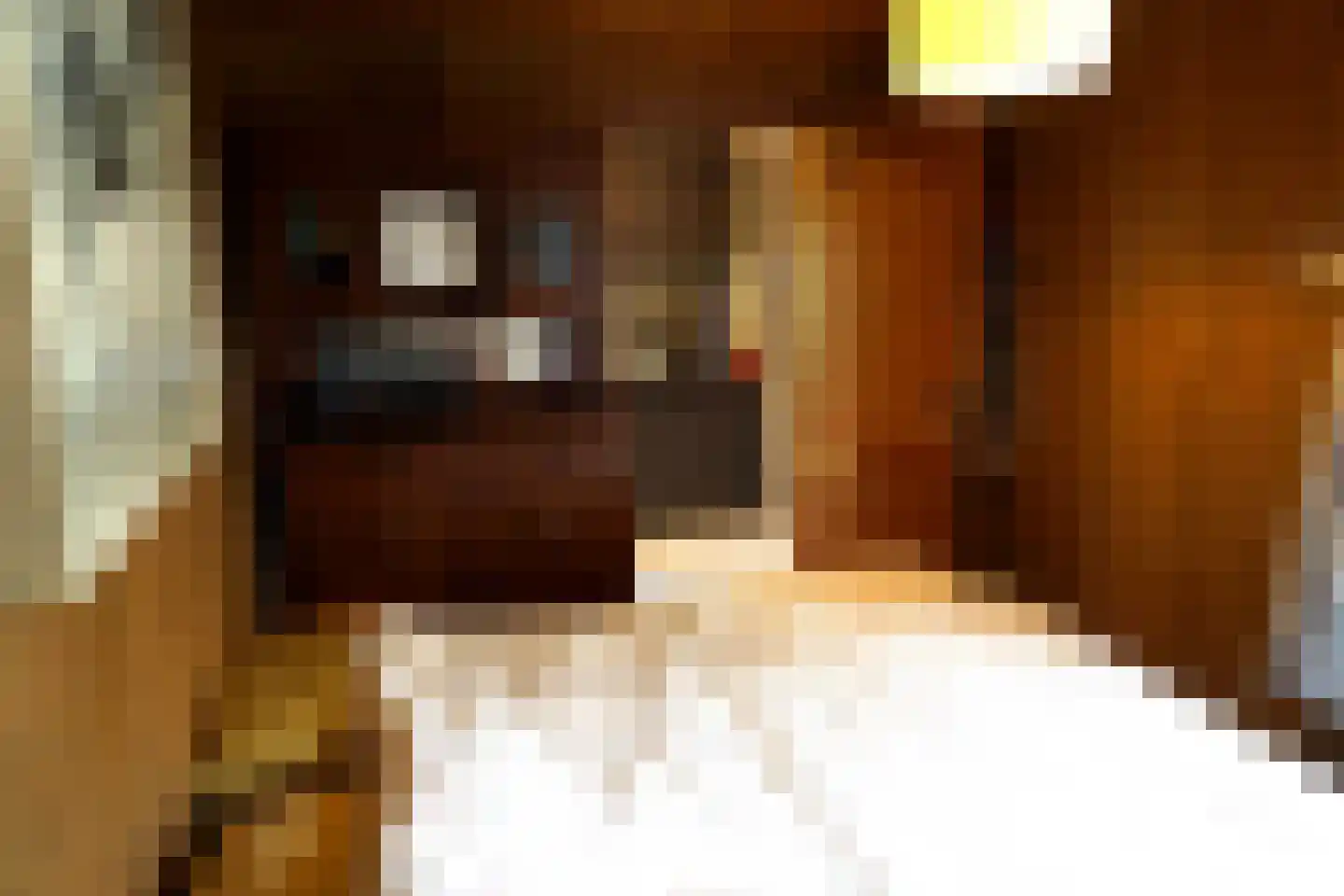Ogentroost 36 Julianadorp thumbnail 7
