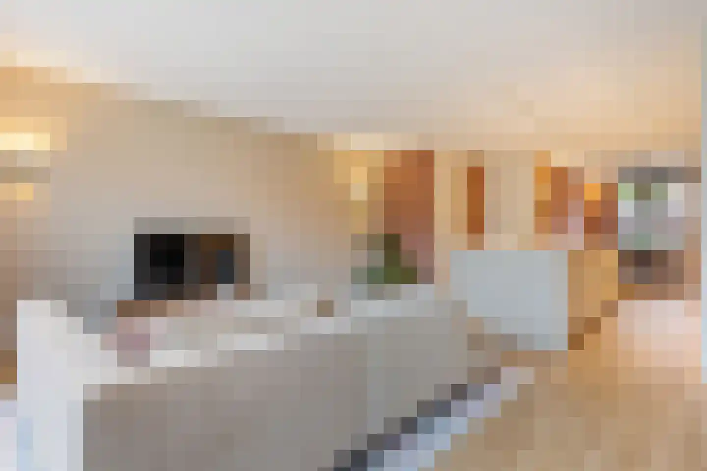 Ogentroost 39 Arnhem thumbnail 17