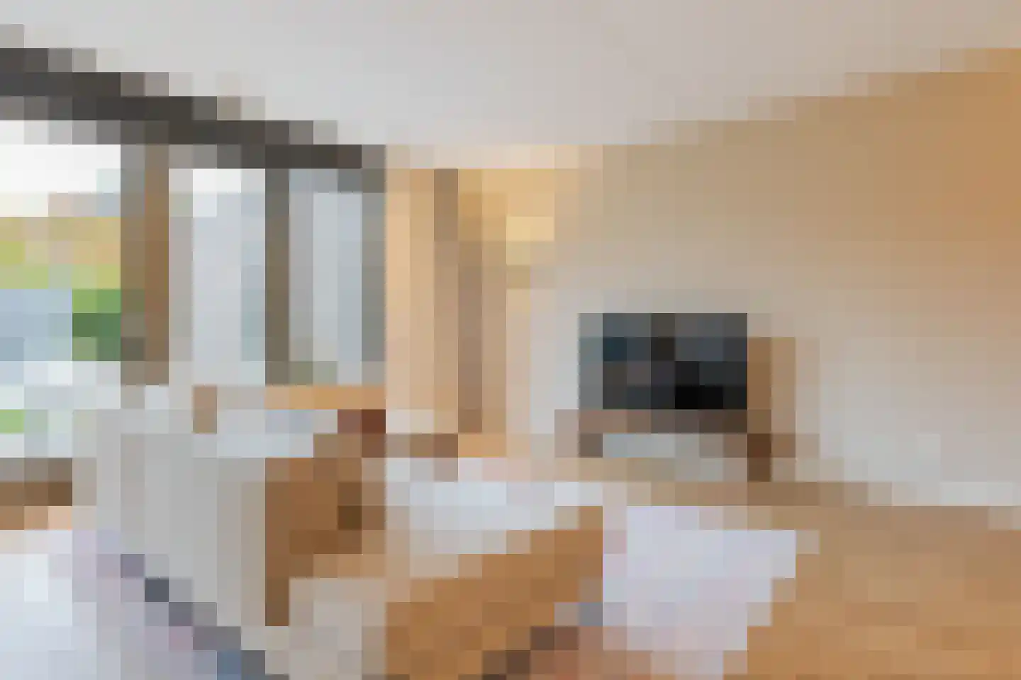 Ogentroost 39 Arnhem thumbnail 20
