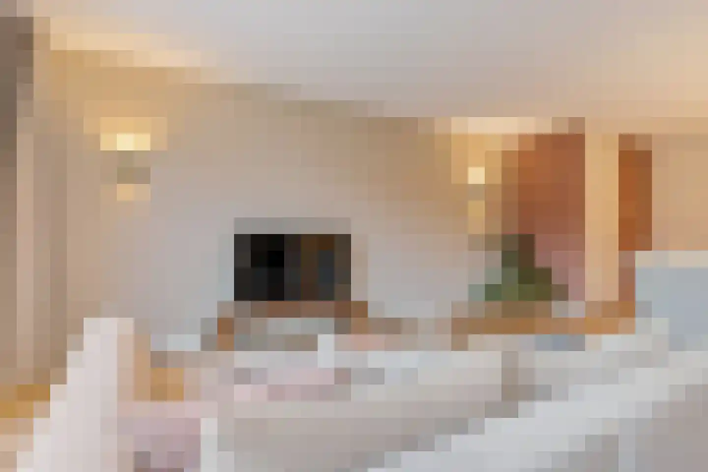 Ogentroost 39 Arnhem thumbnail 21