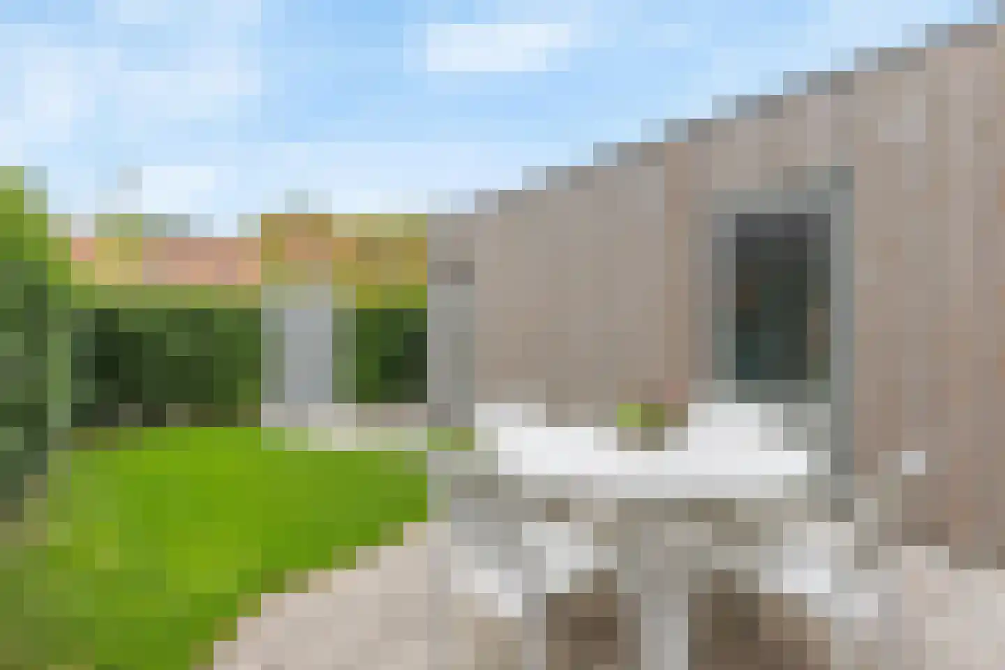 Ogentroost 39 Arnhem thumbnail 35