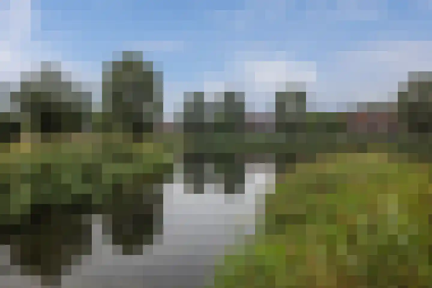 Ogentroost 39 Arnhem thumbnail 36