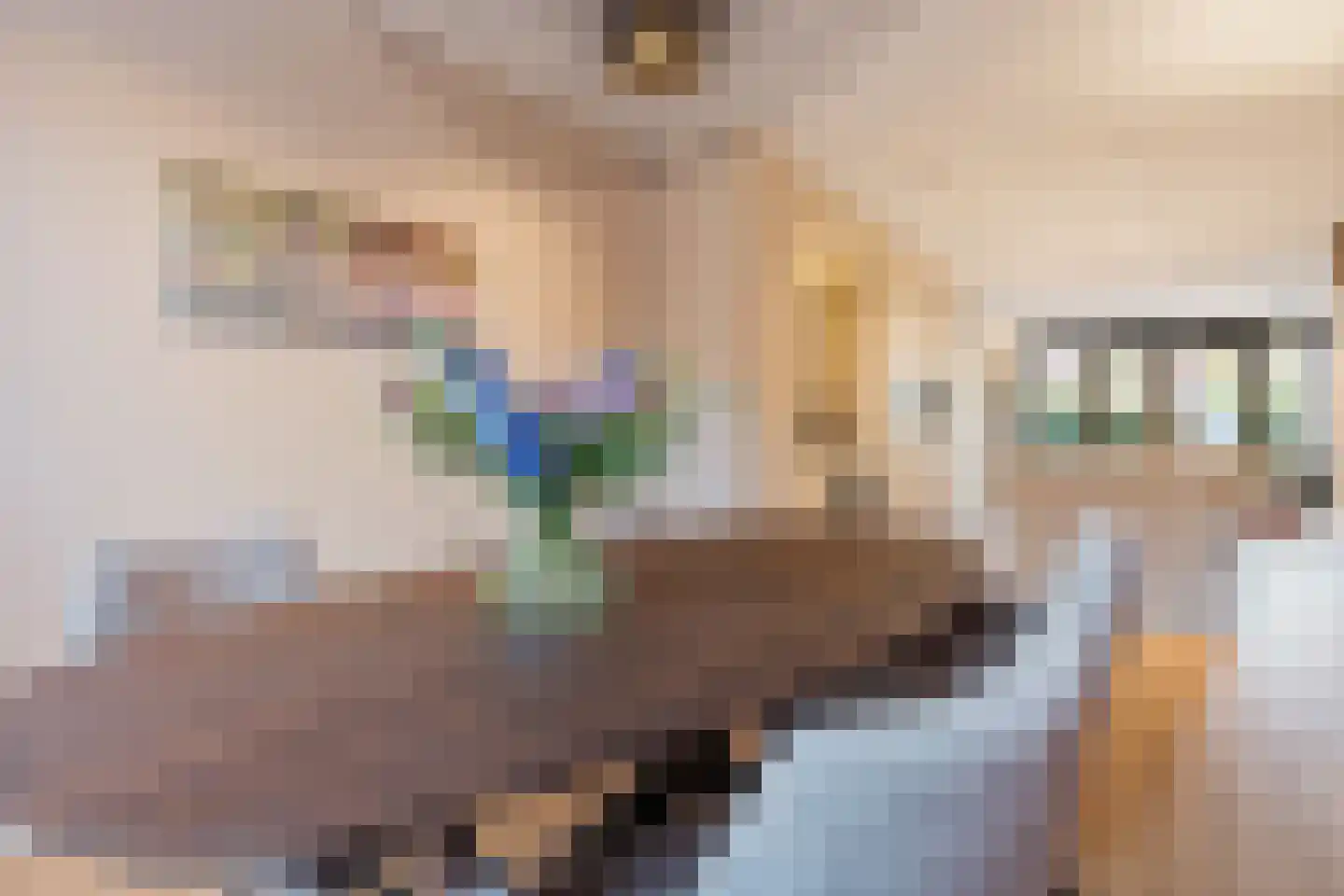 Ogentroost 39 Arnhem thumbnail 8