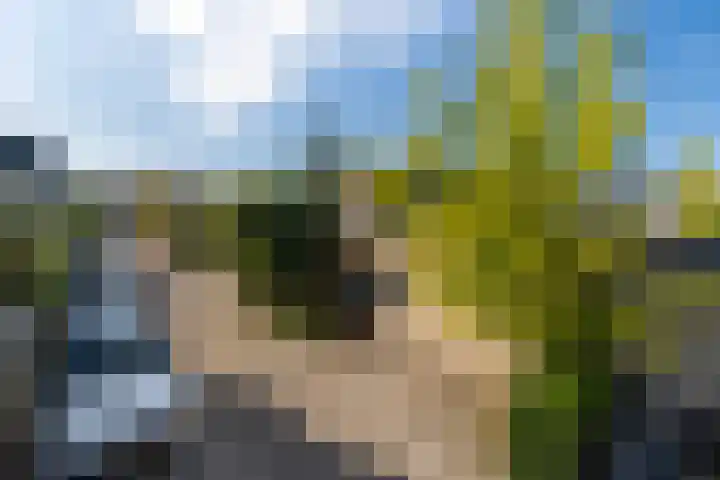 Ogier van Cralingenpark 29 Rotterdam thumbnail 25