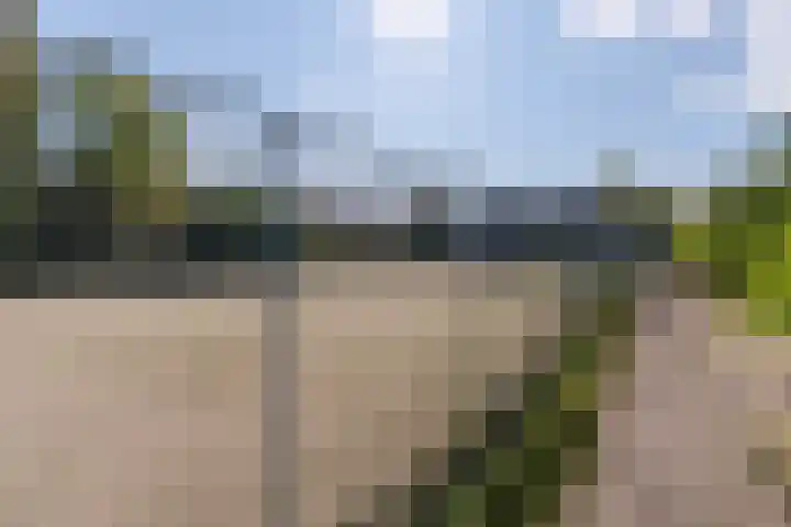Ogier van Cralingenpark 29 Rotterdam thumbnail 26