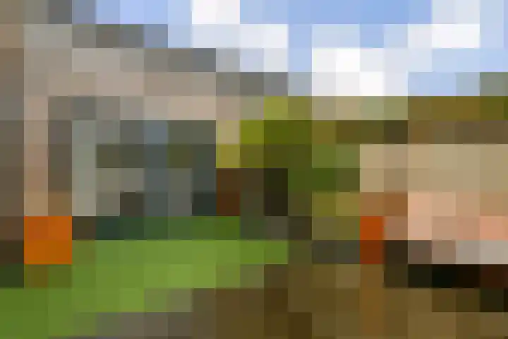 Ogier van Cralingenpark 33 Rotterdam thumbnail 14