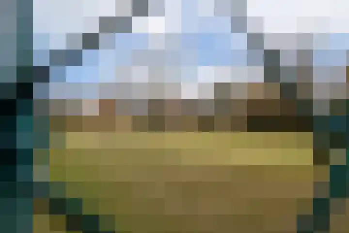 Ogier van Cralingenpark 33 Rotterdam thumbnail 22