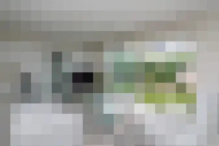 Ogier van Cralingenpark 39 Rotterdam thumbnail 15