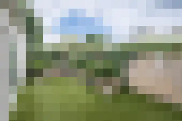 Ogier van Cralingenpark 39 Rotterdam thumbnail 18