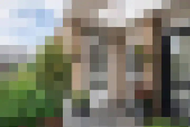 Ogier van Cralingenpark 39 Rotterdam thumbnail 24