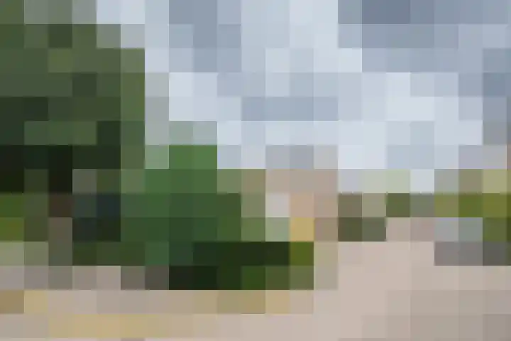 Ogier van Cralingenpark 39 Rotterdam thumbnail 27