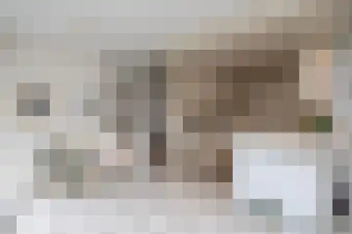 Ogier van Cralingenpark 39 Rotterdam thumbnail 6