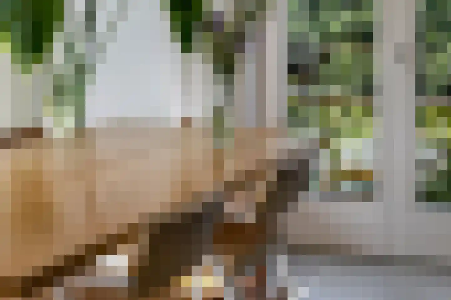 Ogier van Cralingenpark 52 Rotterdam thumbnail 15