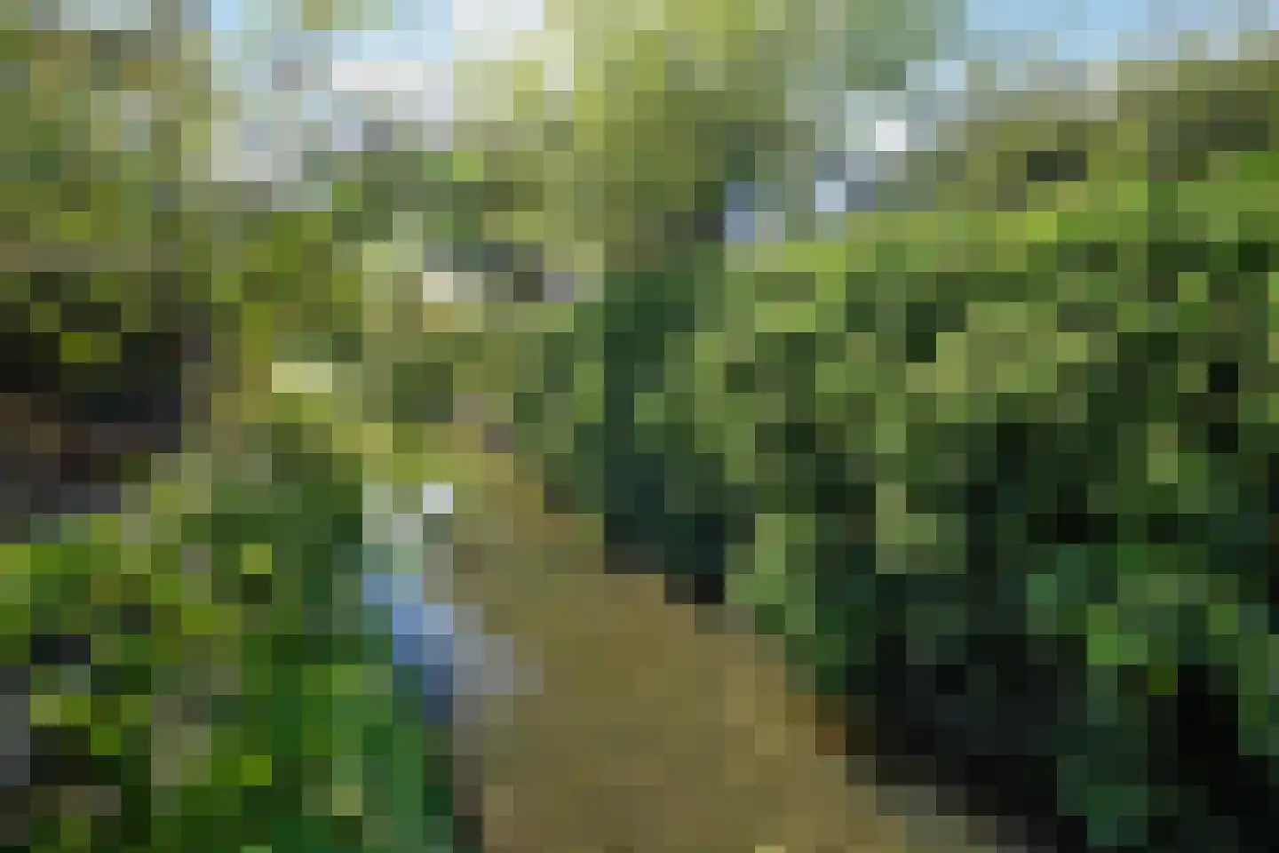 Ogier van Cralingenpark 52 Rotterdam thumbnail 30