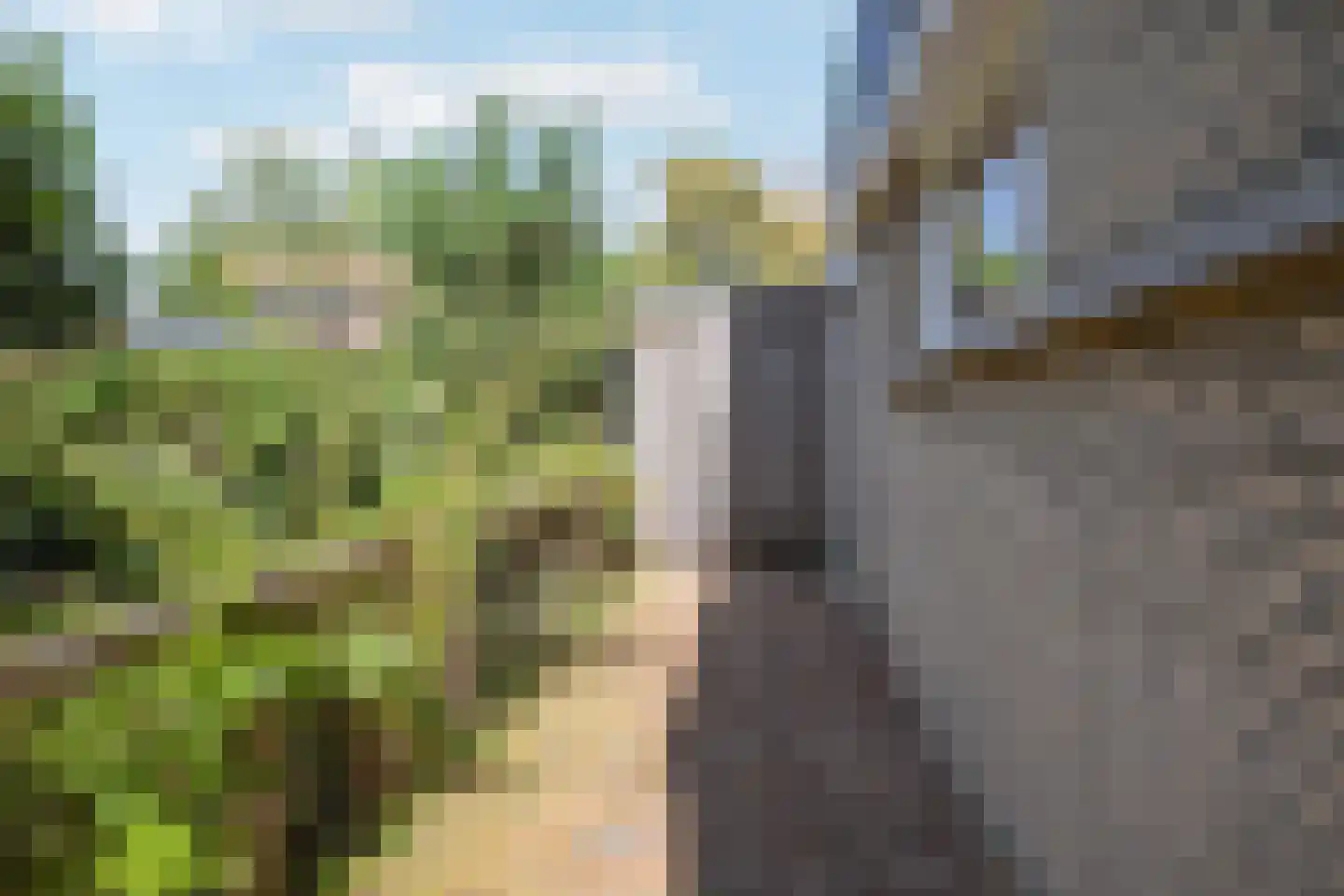 Ogier van Cralingenpark 52 Rotterdam thumbnail 31