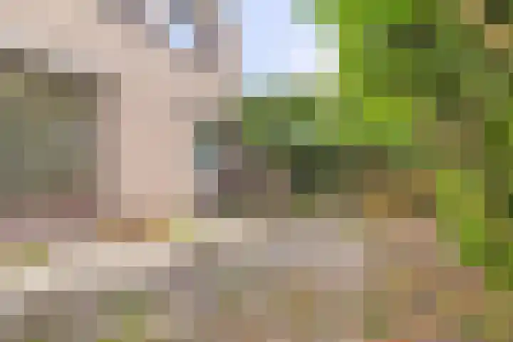 Ogier van Cralingenpark 54 Rotterdam thumbnail 11