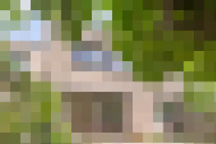 Ogier van Cralingenpark 54 Rotterdam thumbnail 12