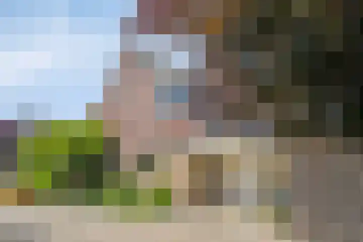 Ogier van Cralingenpark 54 Rotterdam thumbnail 28