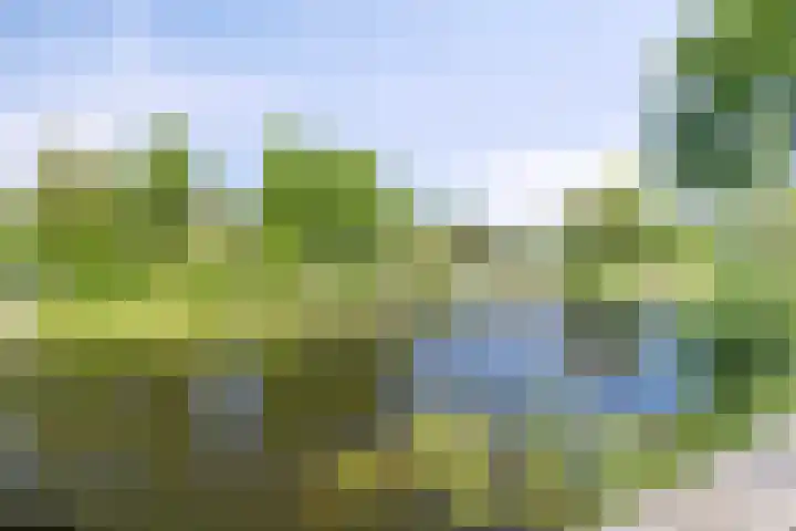 Ogier van Cralingenpark 54 Rotterdam thumbnail 30