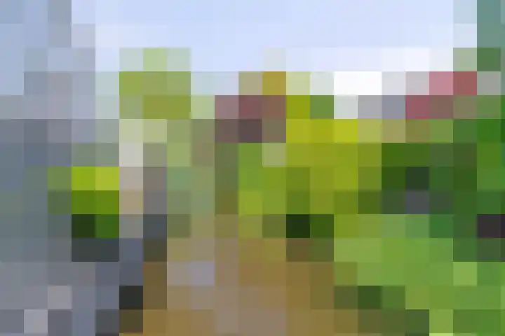 Ogier van Cralingenpark 54 Rotterdam thumbnail 31