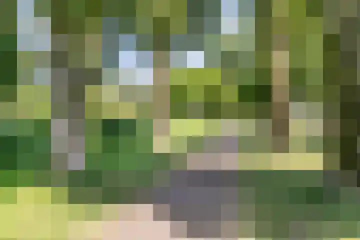 Ogier van Cralingenpark 54 Rotterdam thumbnail 32