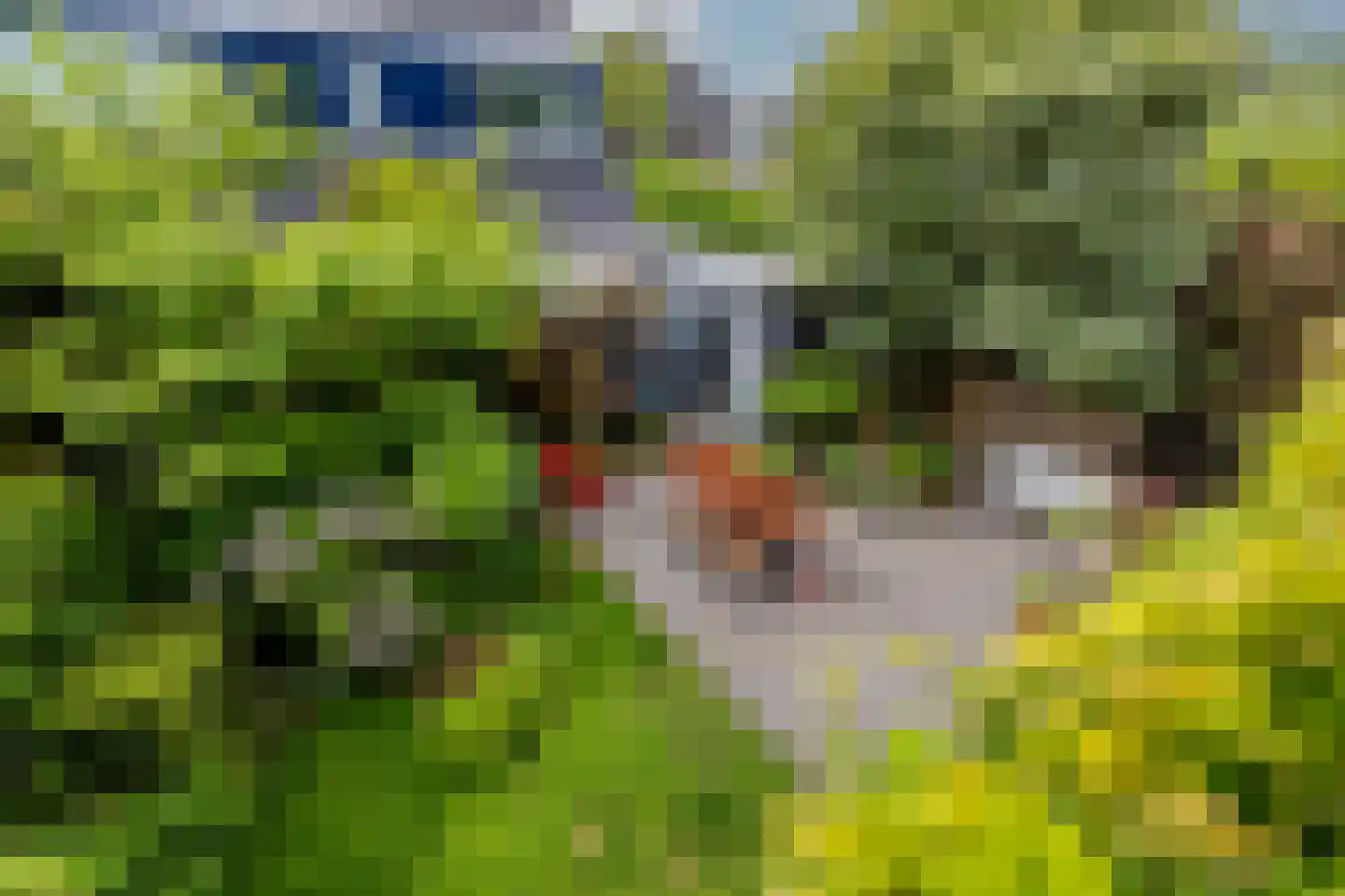 Ogier van Cralingenpark 56 Rotterdam thumbnail 36