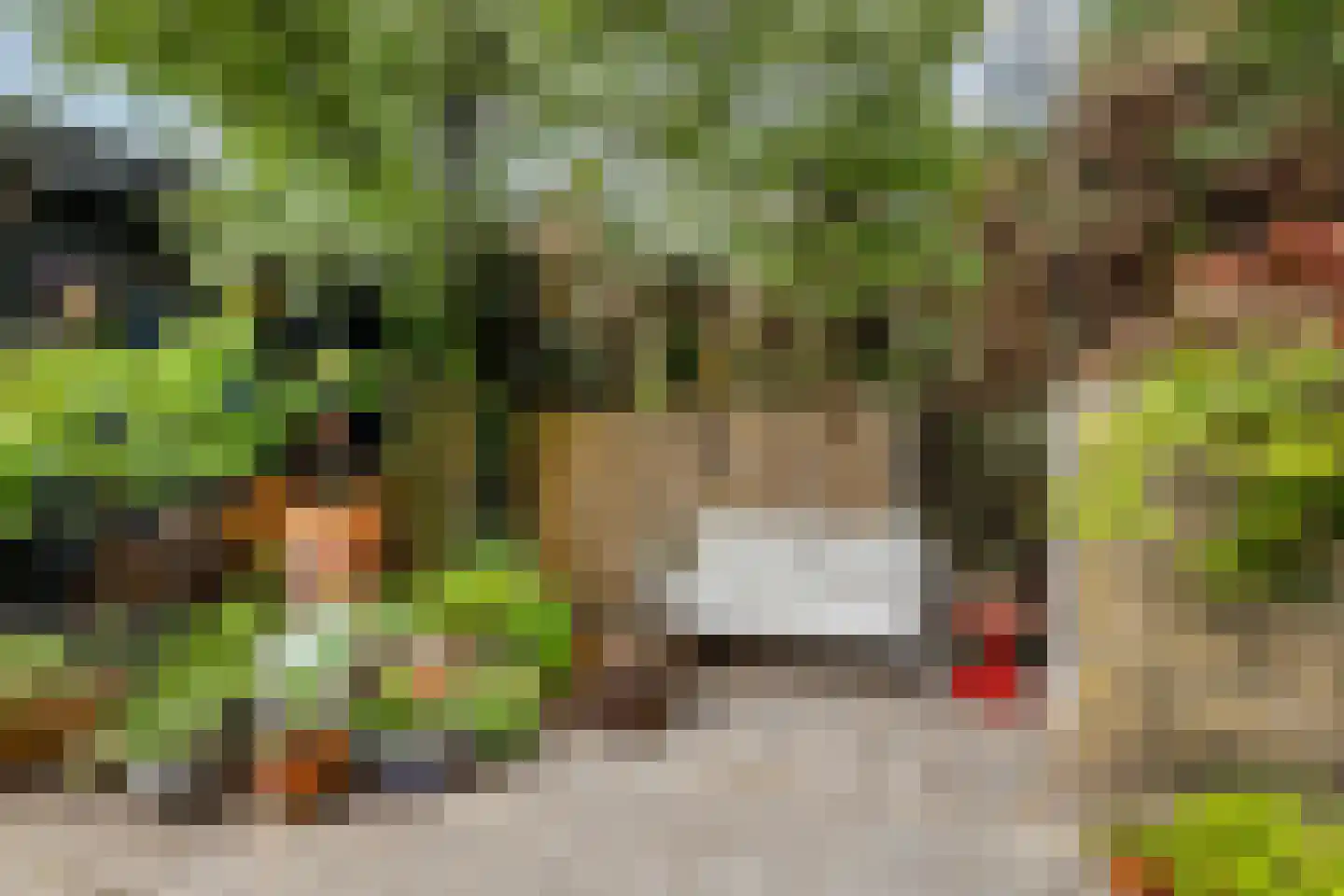 Ogier van Cralingenpark 56 Rotterdam thumbnail 43