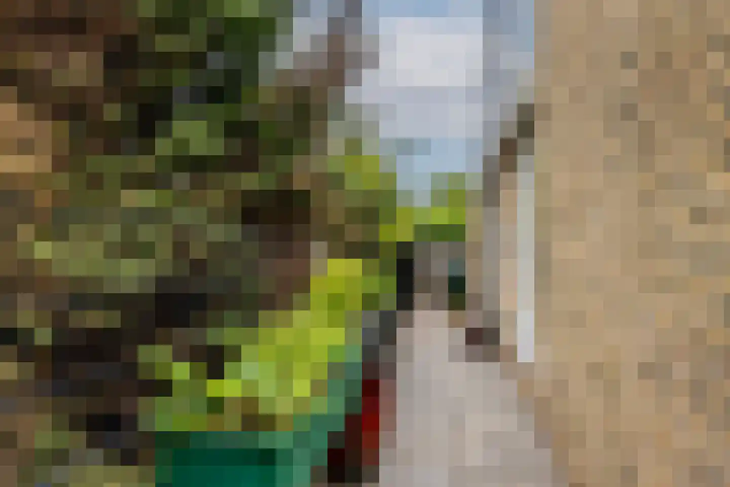 Ogier van Cralingenpark 56 Rotterdam thumbnail 45