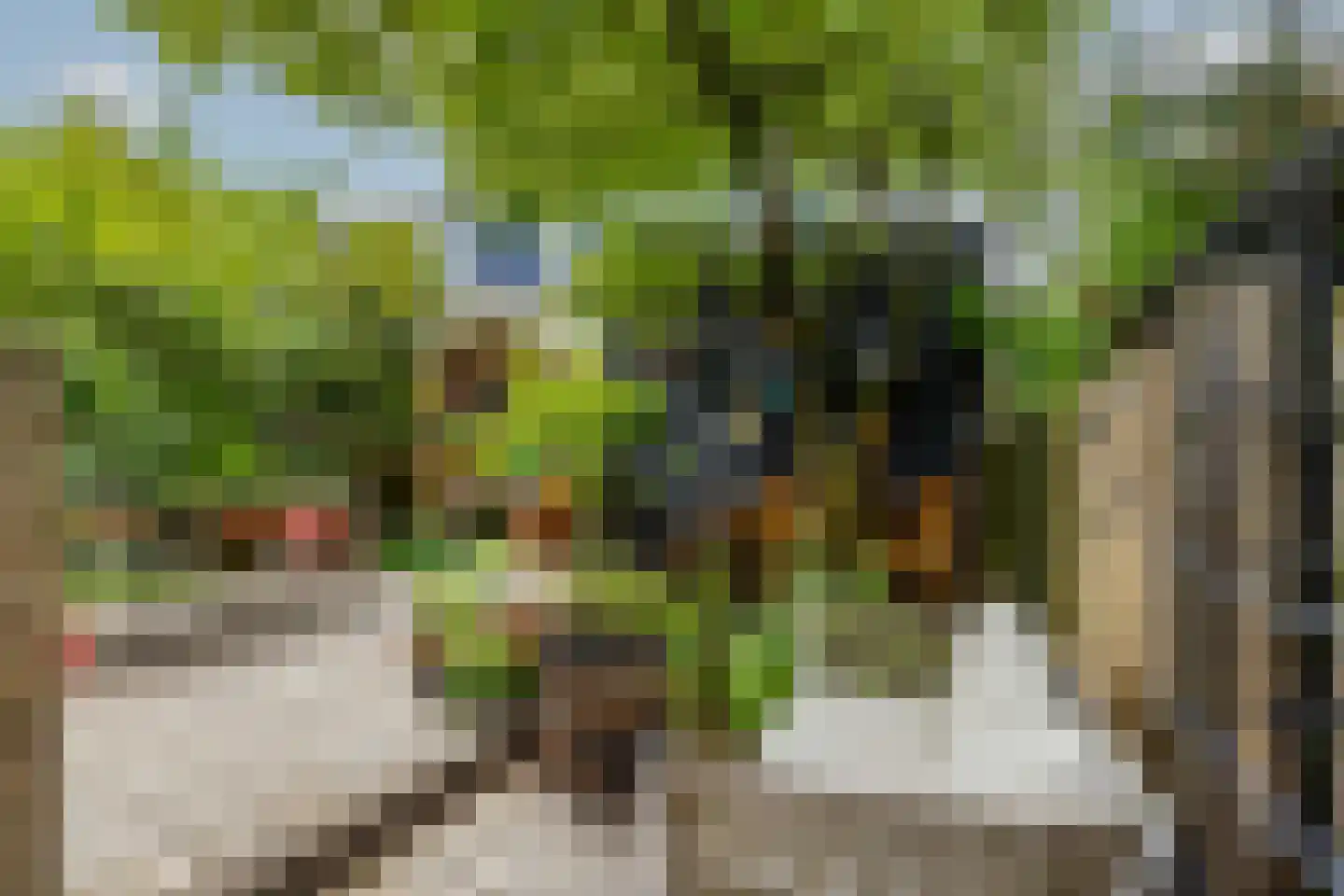 Ogier van Cralingenpark 56 Rotterdam thumbnail 47
