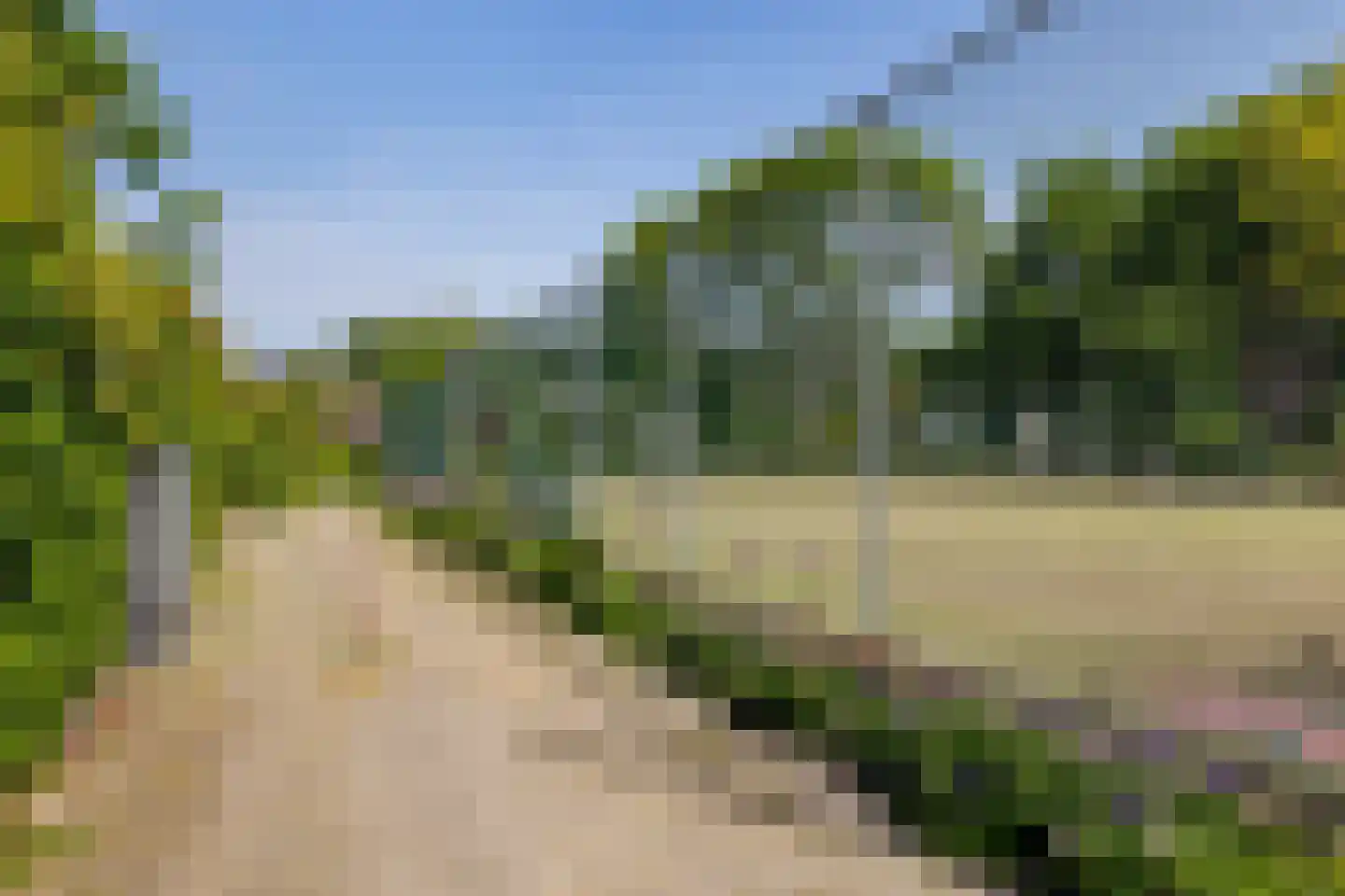 Ogier van Cralingenpark 56 Rotterdam thumbnail 48