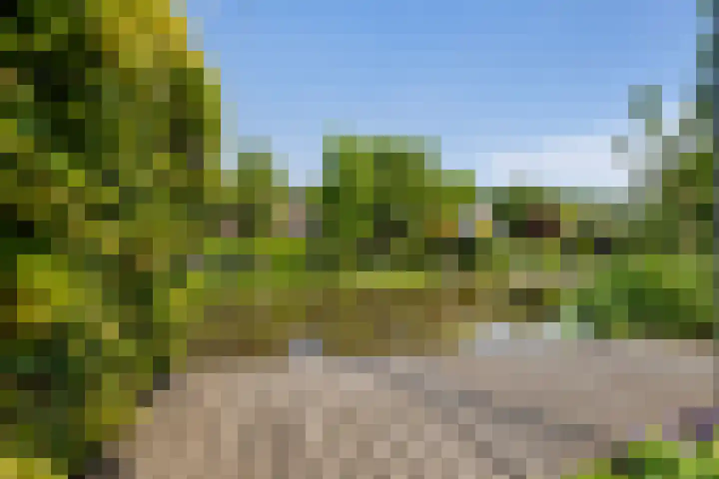 Ogier van Cralingenpark 56 Rotterdam thumbnail 49