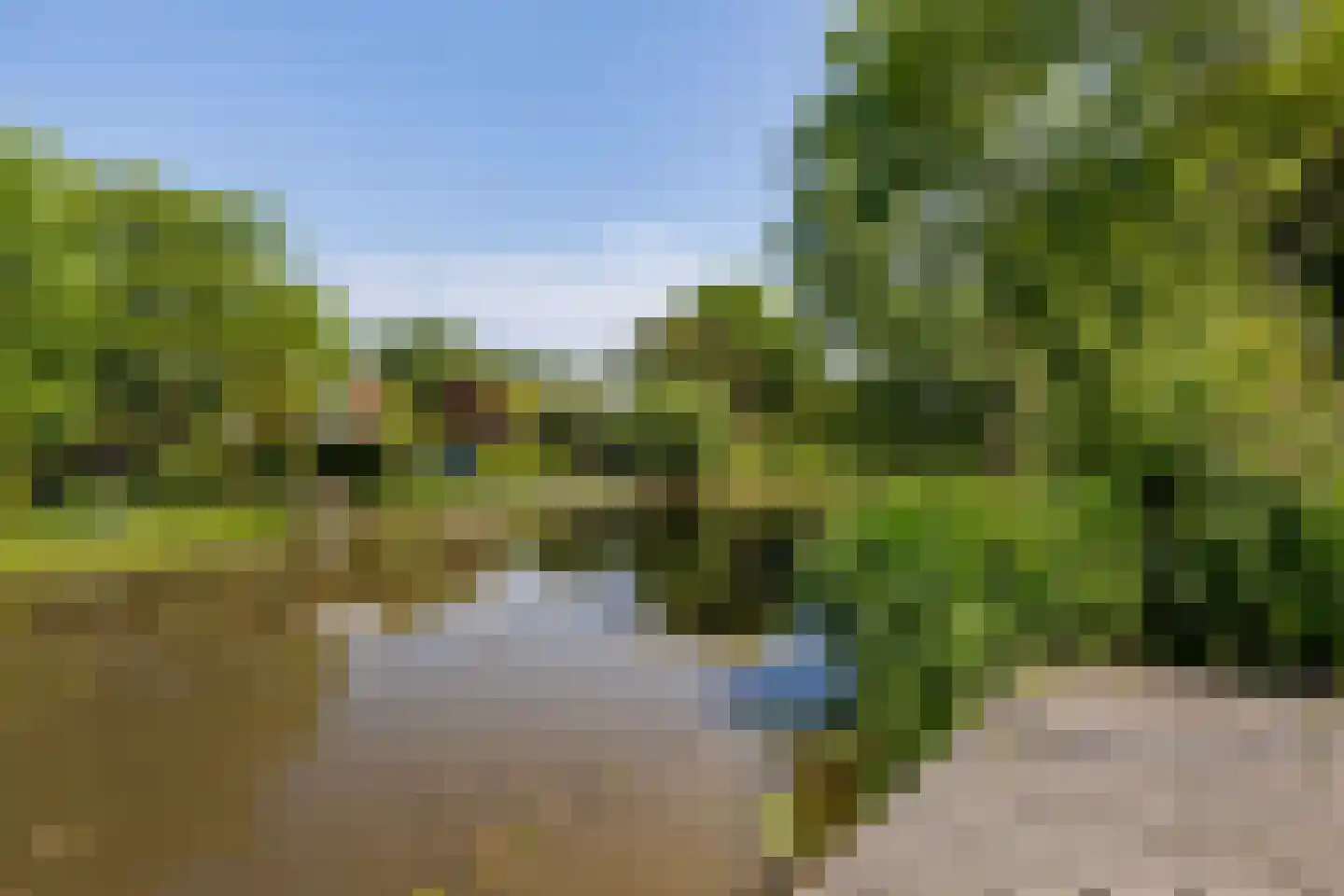 Ogier van Cralingenpark 56 Rotterdam thumbnail 50