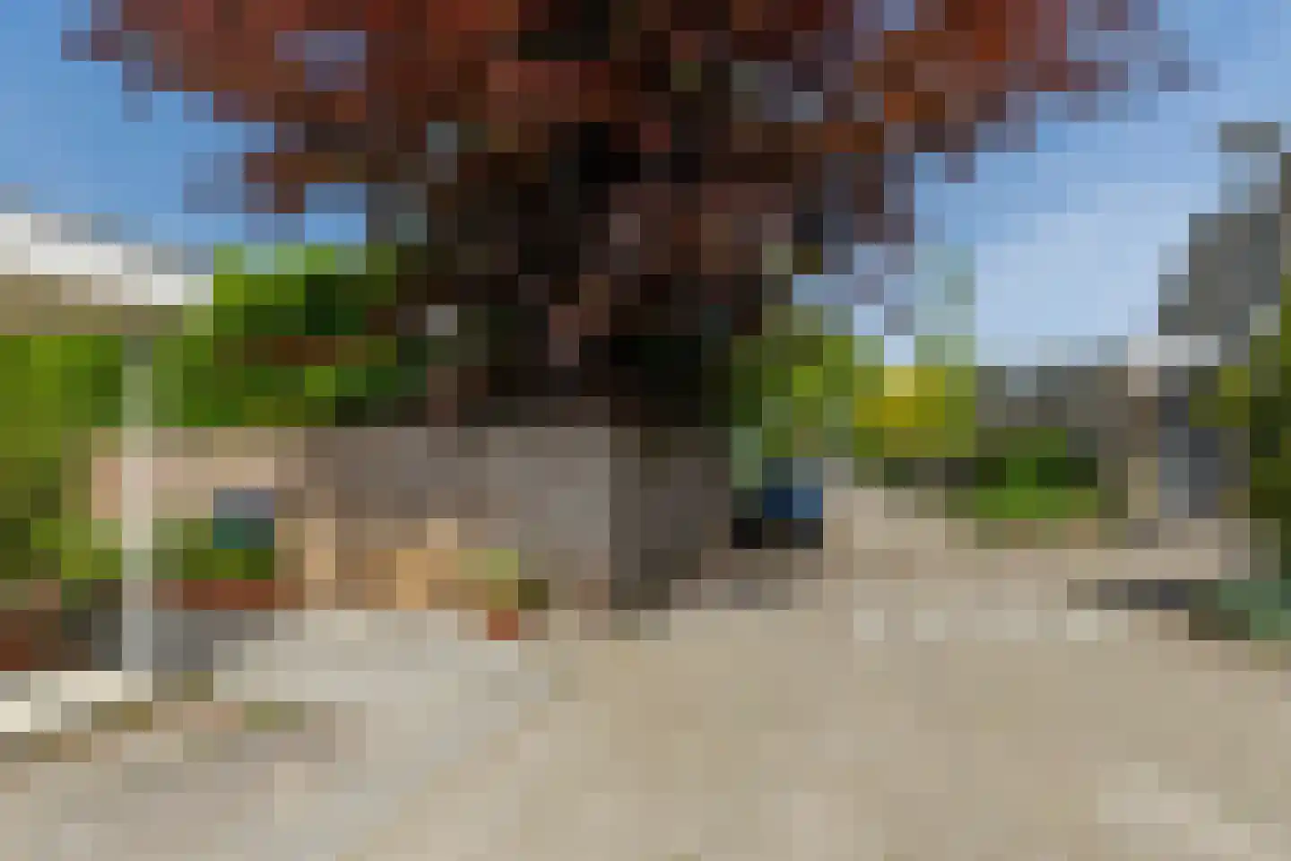 Ogier van Cralingenpark 56 Rotterdam thumbnail 52