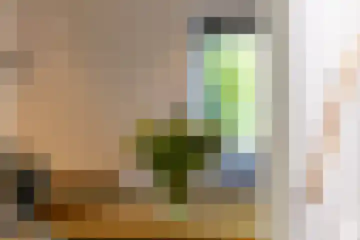 Ogier van Cralingenpark 72 Rotterdam thumbnail 12