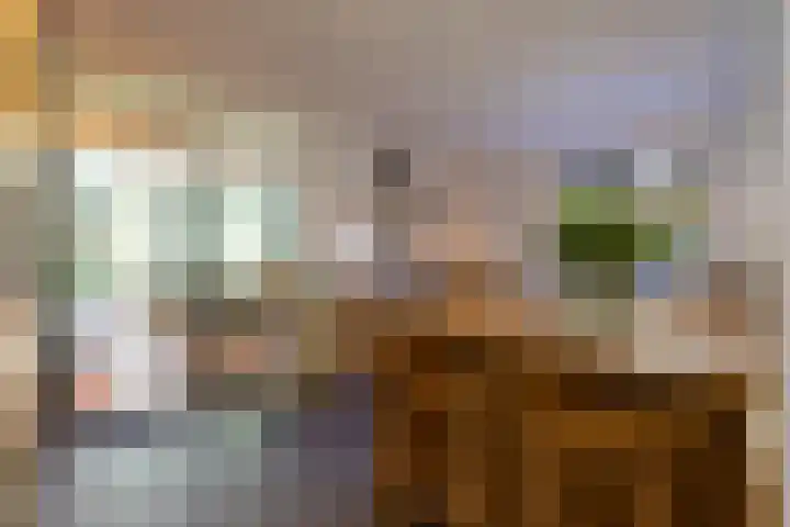 Ogier van Cralingenpark 72 Rotterdam thumbnail 13