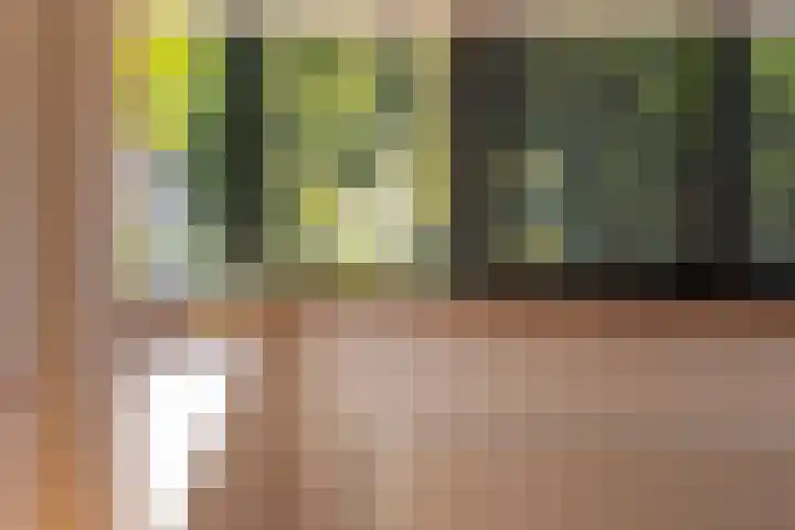 Ogier van Cralingenpark 72 Rotterdam thumbnail 18