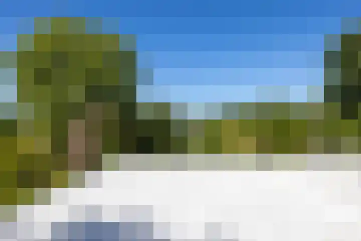 Ogier van Cralingenpark 72 Rotterdam thumbnail 36
