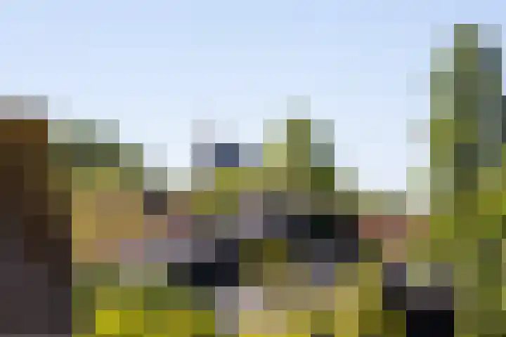 Ogier van Cralingenpark 72 Rotterdam thumbnail 38