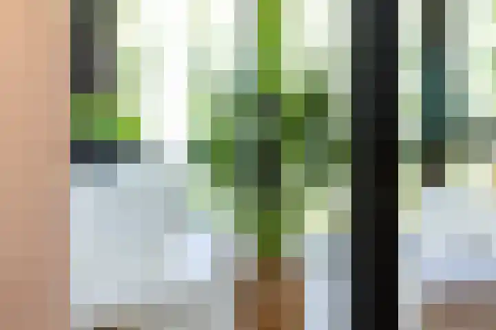 Ogier van Cralingenpark 72 Rotterdam thumbnail 39