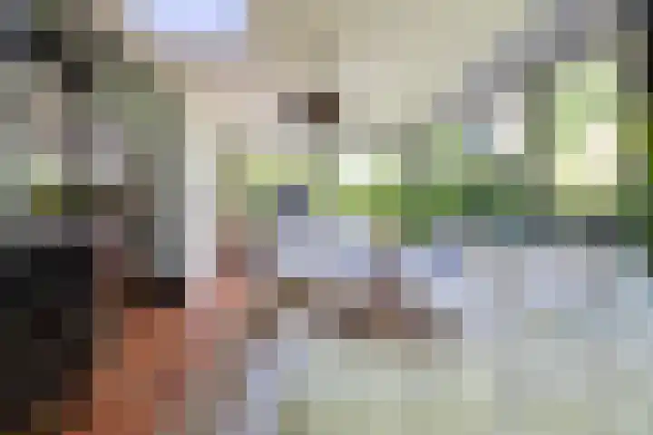 Ogier van Cralingenpark 72 Rotterdam thumbnail 4